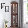 Corner Curio Cabinet with Lights, Adjustable Tempered Glass Shelves, Mirrored Back, Display Cabinet(E26 light bulb not included)