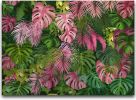 Large Silk Wall Murals, Cloud Wallpaper, 155in(W) x103in(H). Brings Luxury and Elegance to Interior Spaces. Perfect for Kids' Room, Living Room, Offic