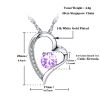 Emma Manor Heart Necklace 14K White Gold Plated Round Cut Cubic Zirconia Forever Lover Heart Pendant Necklace for Women Girls