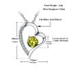 Emma Manor Heart Necklace 14K White Gold Plated Round Cut Cubic Zirconia Forever Lover Heart Pendant Necklace for Women Girls